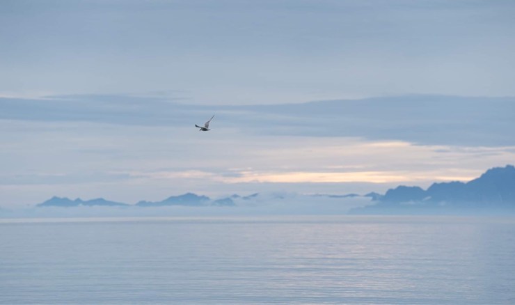 AEDP core training i Oslo&nbsp;2022-2023