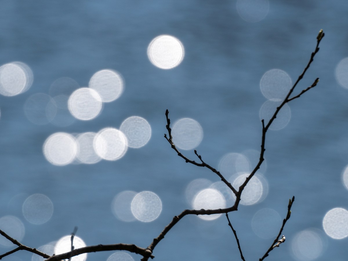 AEDP workshop i Stockholm 13-14&nbsp;oktober